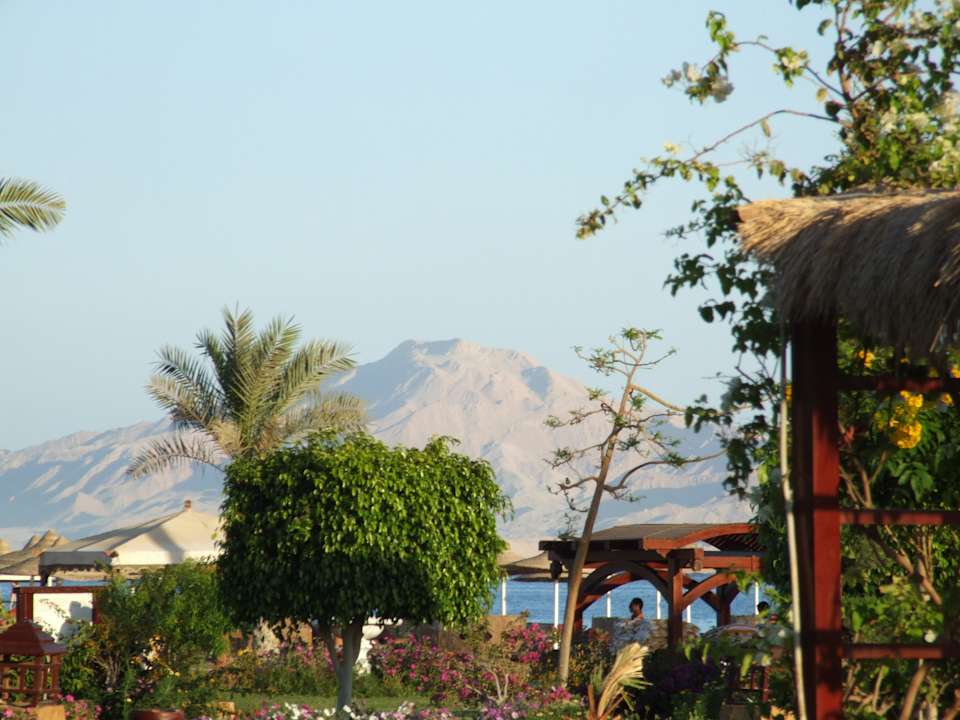 Widok z hotelu Regency Plaza Aqua Park & Spa