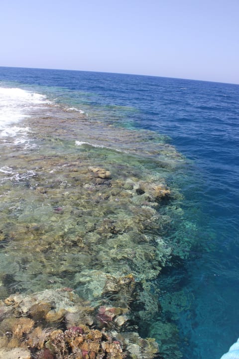 Hotelowa rafa - często niedostępna Solitaire Resort Marsa Alam