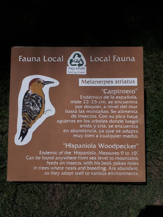 Sonstiges Grand Palladium Select Bávaro Resort & Spa