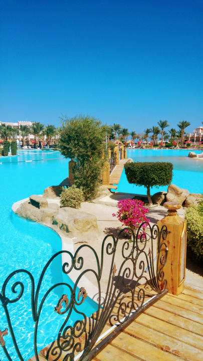 Pool Beach Albatros Resort
