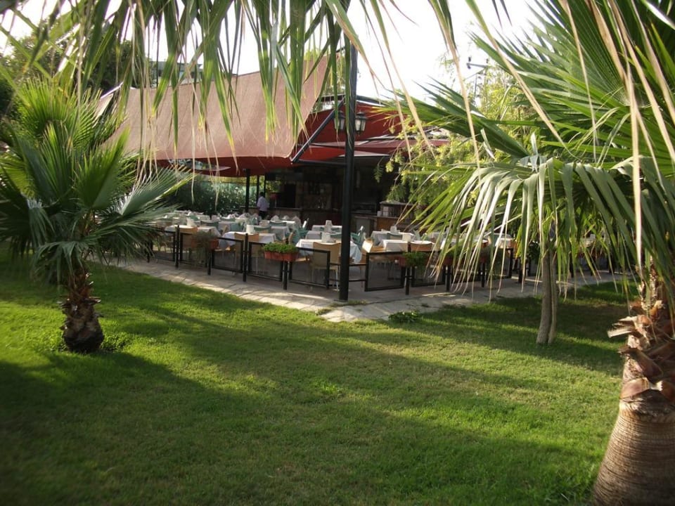 Beachbar Hotel Royal Garden Beach