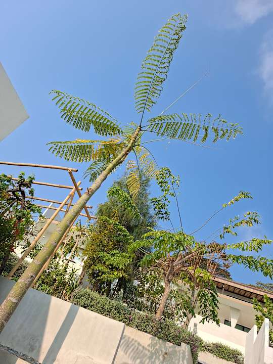 Außenansicht Pichcha Kohlarn