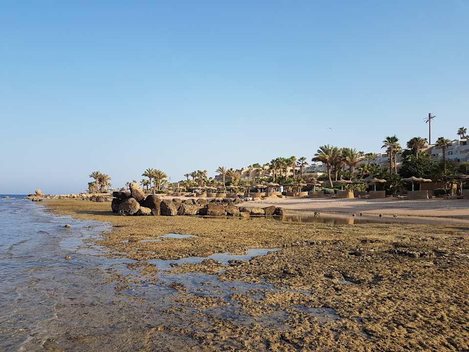 Strand Pickalbatros Citadel Resort