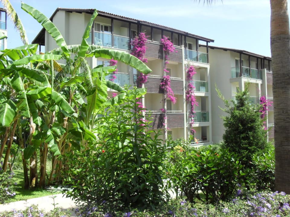 Traumhafte Hotelanlage Sealife Buket Resort & Beach