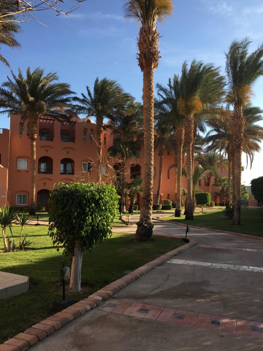 Gartenanlage Jaz Makadi Oasis Resort