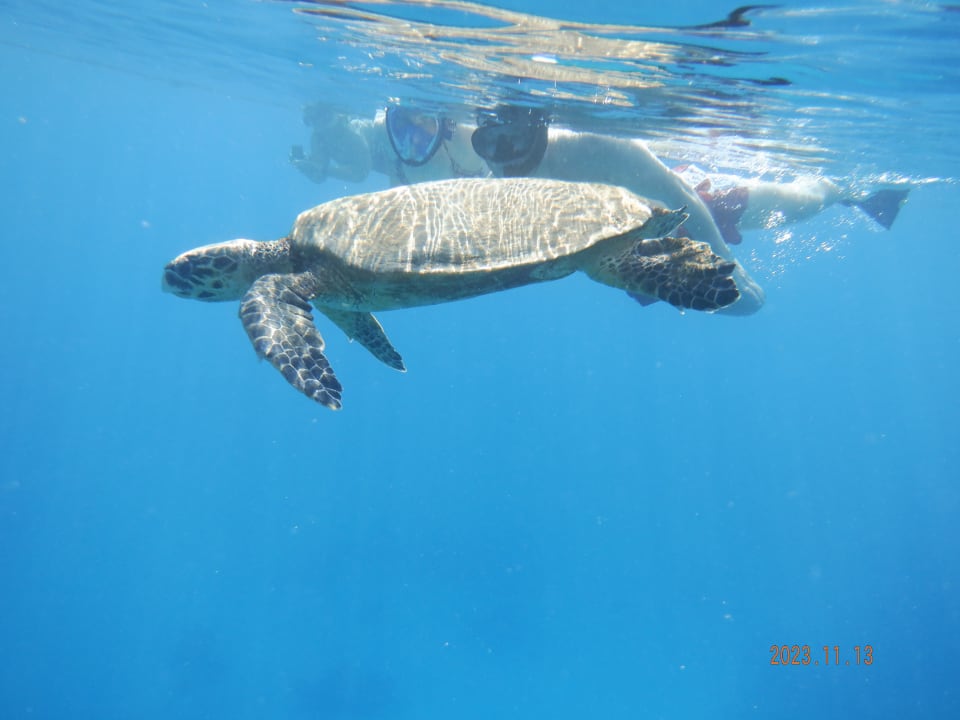 Sport & Freizeit Makadi Spa - Adults only