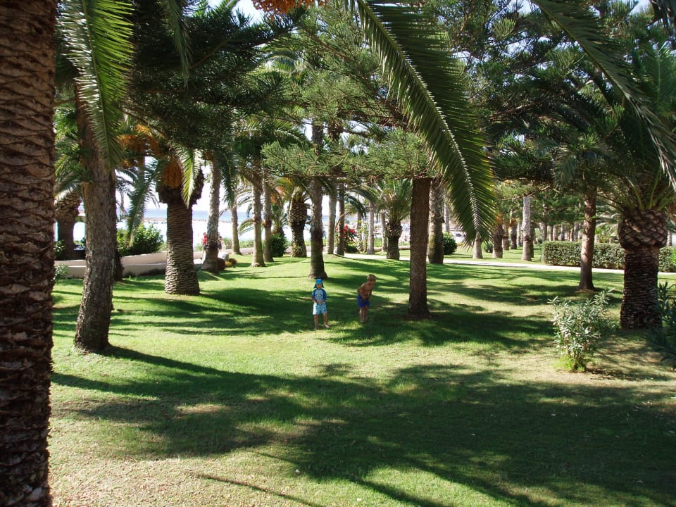 Garten Hotel Nissi Beach Resort