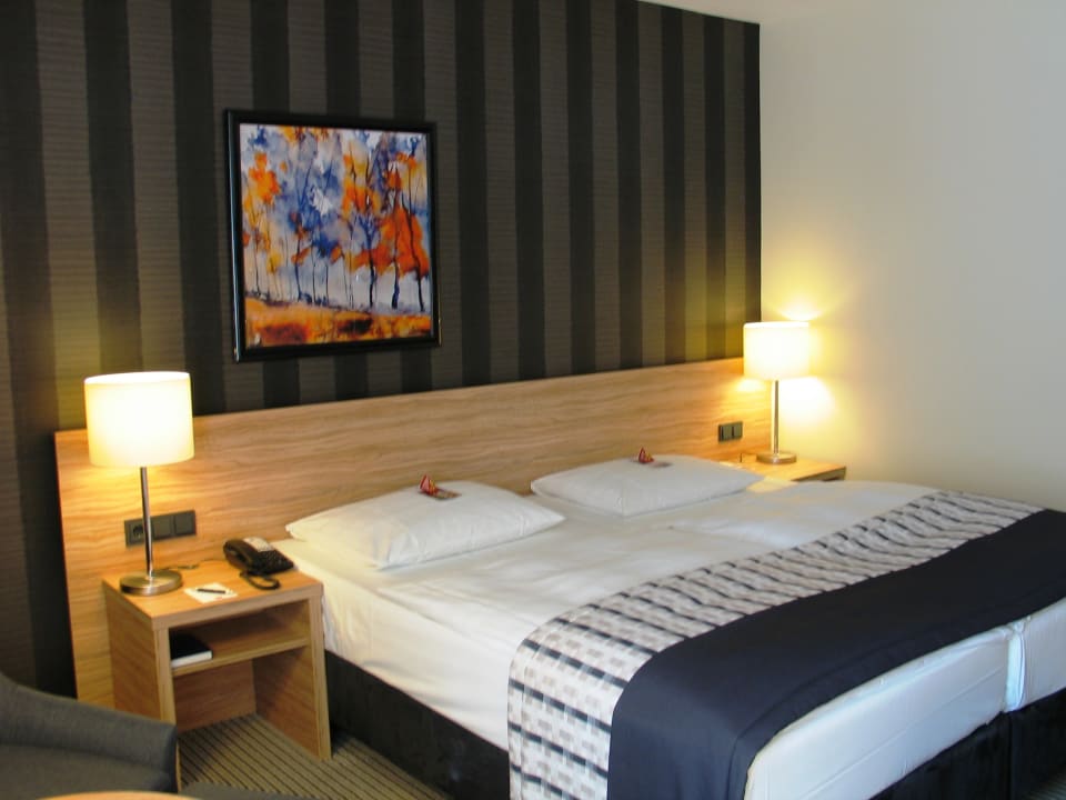 Zimmer Maritim Hotel Königswinter