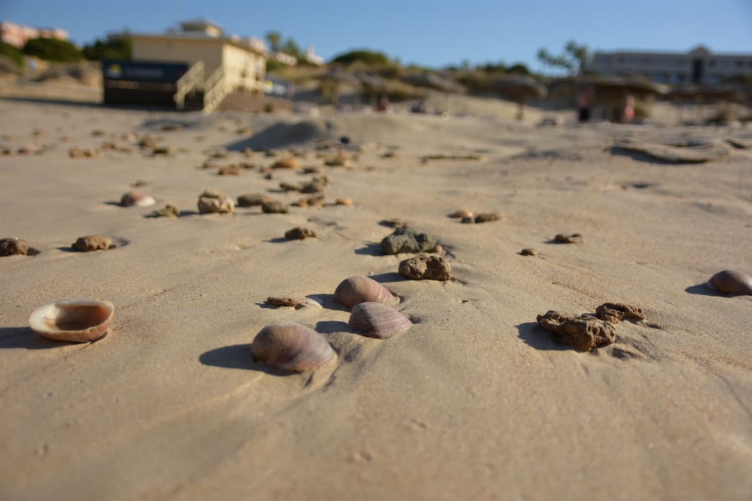 Strand Hipotels Playa la Barrosa