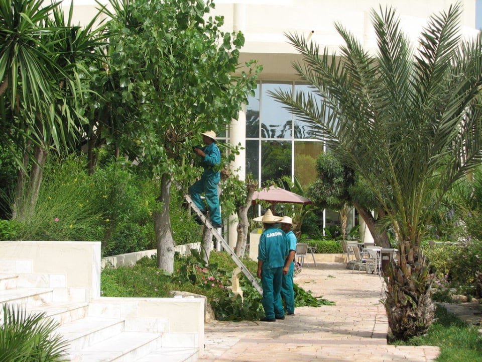 Fleißige Gärtner  TUI MAGIC LIFE Africana