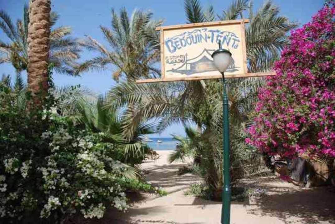 Można zapalić Sheeshe u beduinów na plaży Brayka Bay Resort