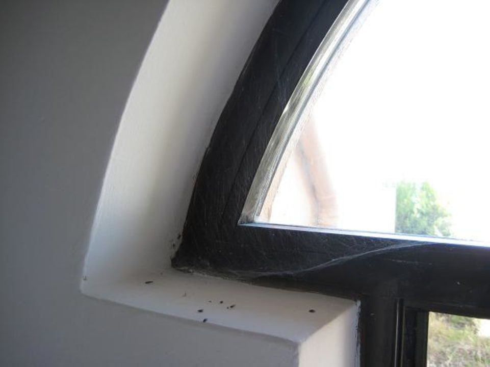 Zimmer Monica Isabel Beach Club