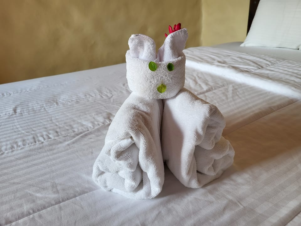 Zimmer Casa Luna Hotel & Spa