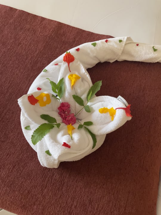 Zimmer Iberotel Makadi Beach