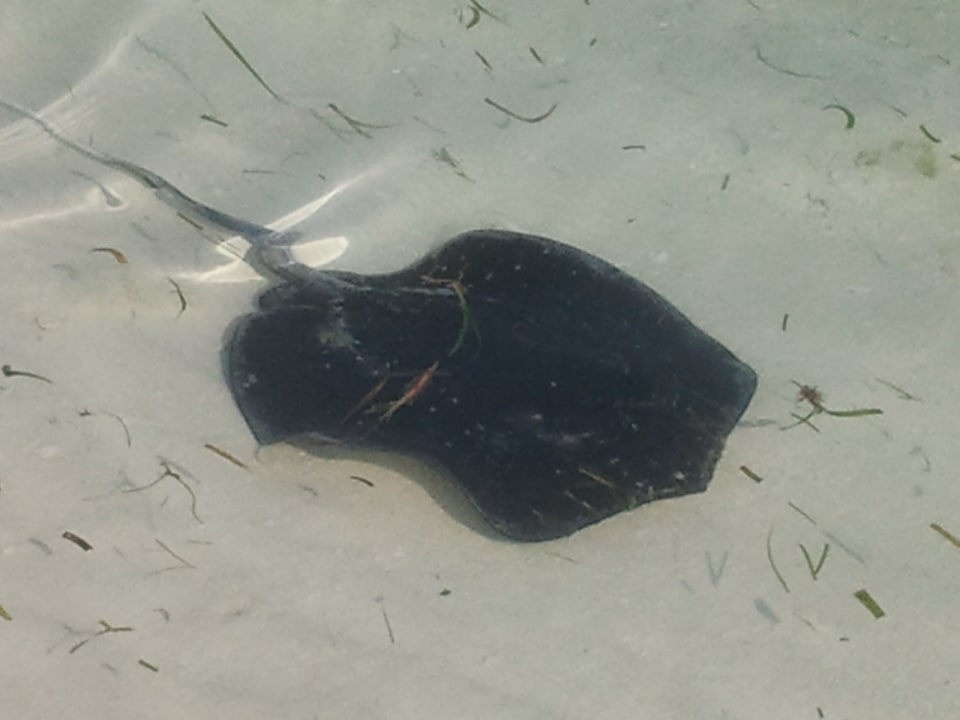 Strand Kuredu Island Resort & Spa