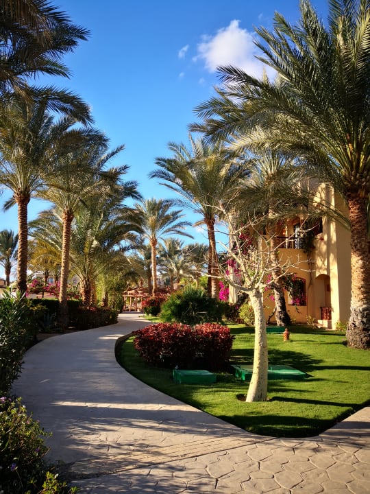 Gartenanlage Steigenberger Coraya Beach - Adults only