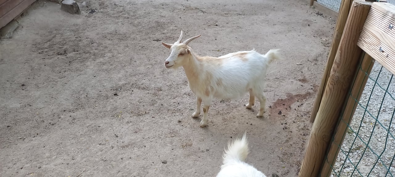 Sonstiges Campanile Val de France