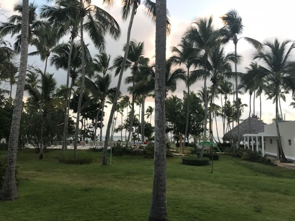 Zimmer Wyndham Alltra Samana