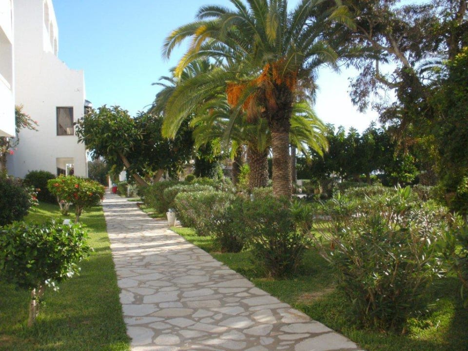 Gewachsene, schöne Gartenanlage The Orangers Beach Resort and Bungalows