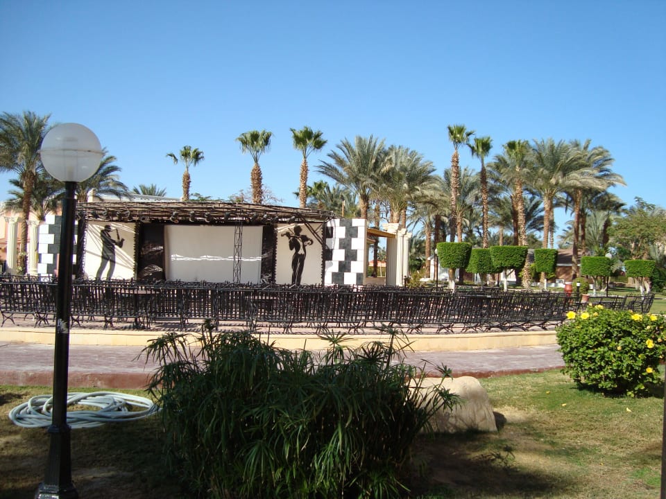 Отель. Beach Albatros Resort
