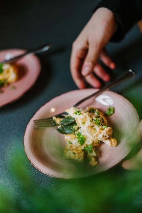 Gastro Pension Faneskla