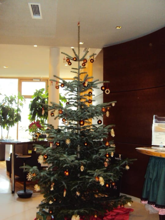 Weihnachtsbaum Heilthermen Resort Bad Waltersdorf