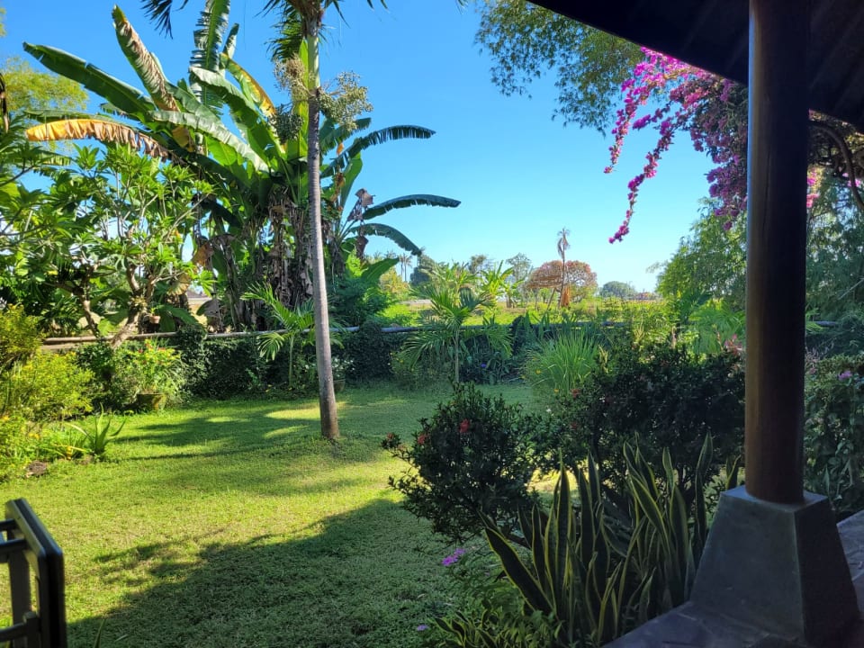 Gartenanlage Saraswati Holiday House