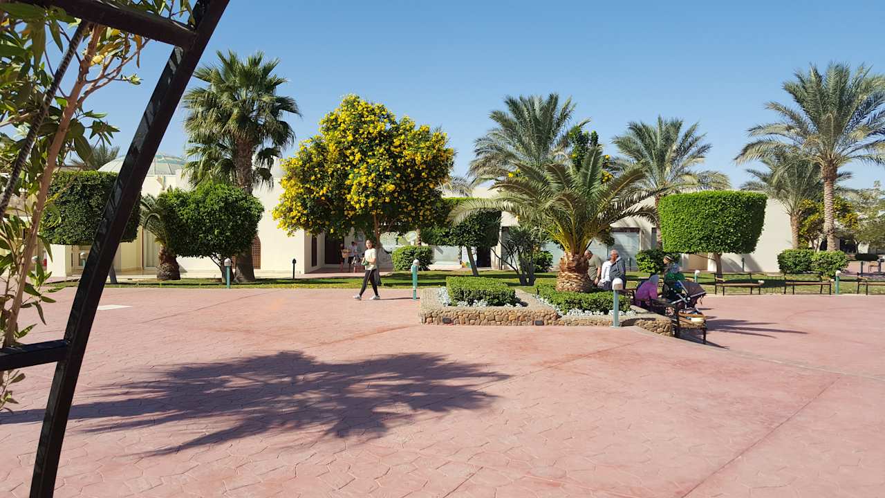 Gartenanlage Desert Rose