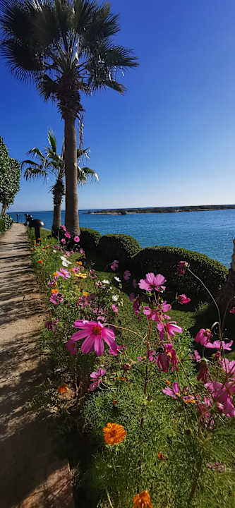 Gartenanlage Hotel Three Corners Ocean View prestige - Adults only