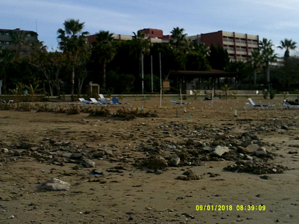 Strand Seaden Corolla Hotel