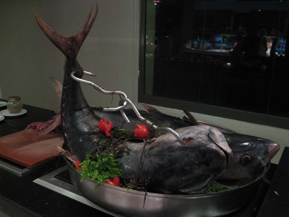 Frischer geht es nicht, ganz leckerer Thunfisch Hotel Rosa Beach