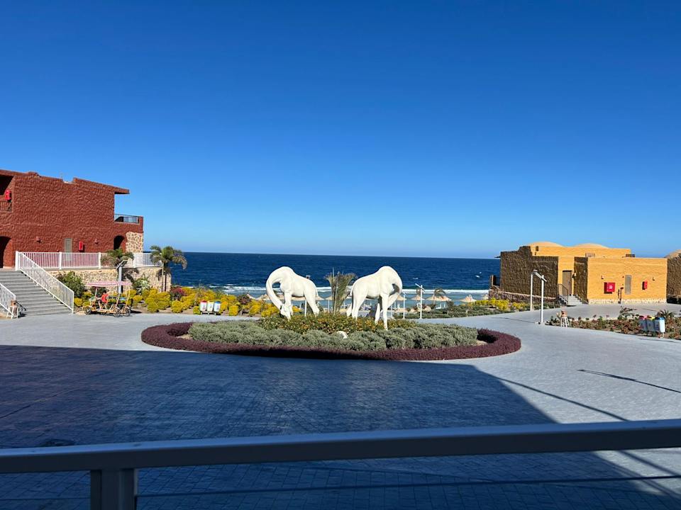 Ausblick Pickalbatros Vita Resort - Portofino Marsa Alam
