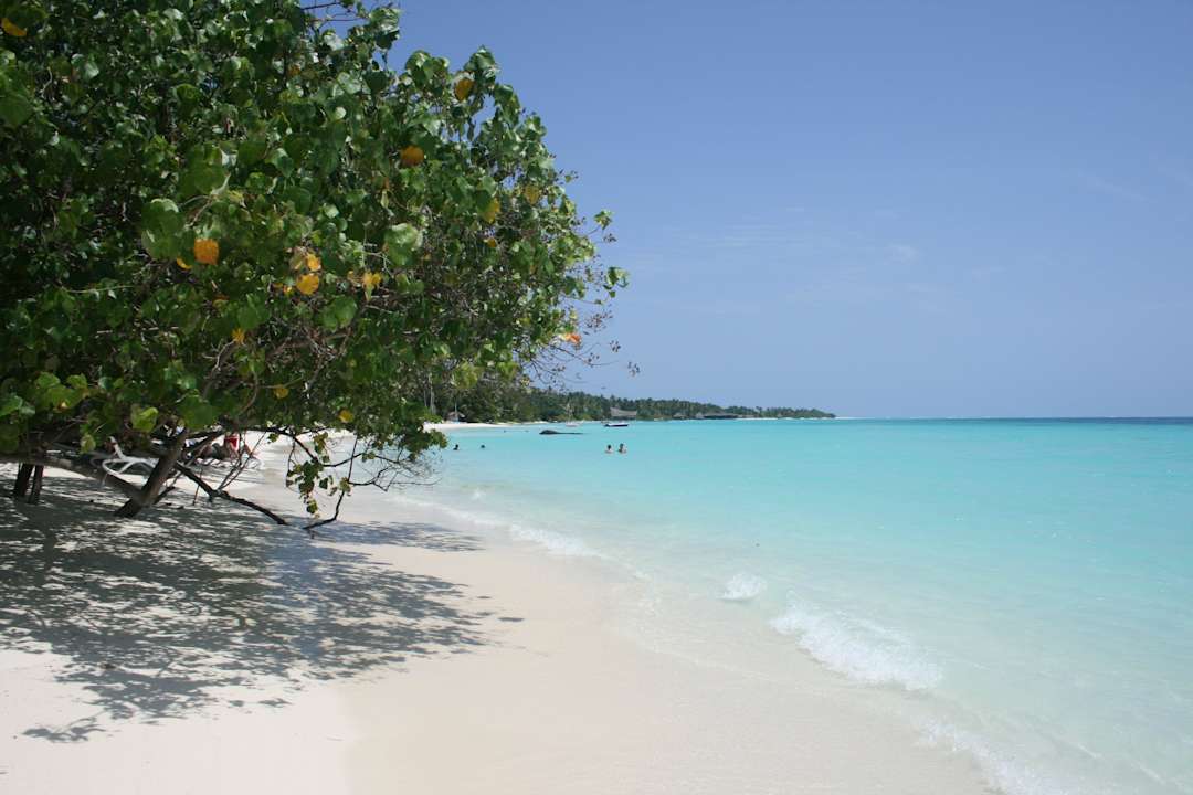 Lagunenseite  Kuramathi Maldives