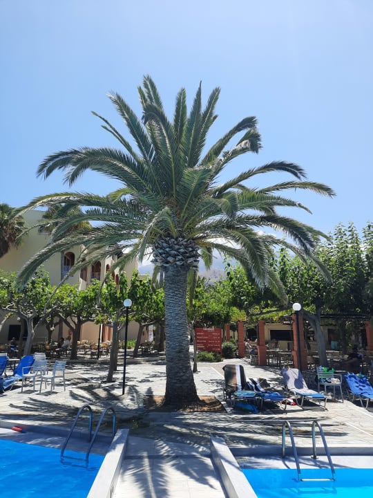 Pool Hotel Mare Monte Beach