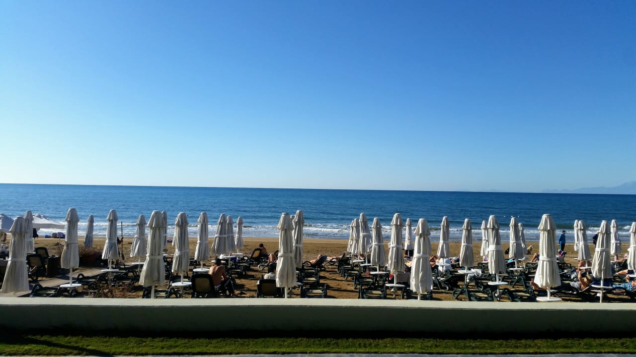 Strand Side Star Elegance