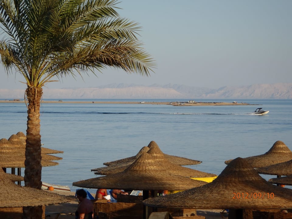 Blick Richtung Lagune JAZ Dahabeya