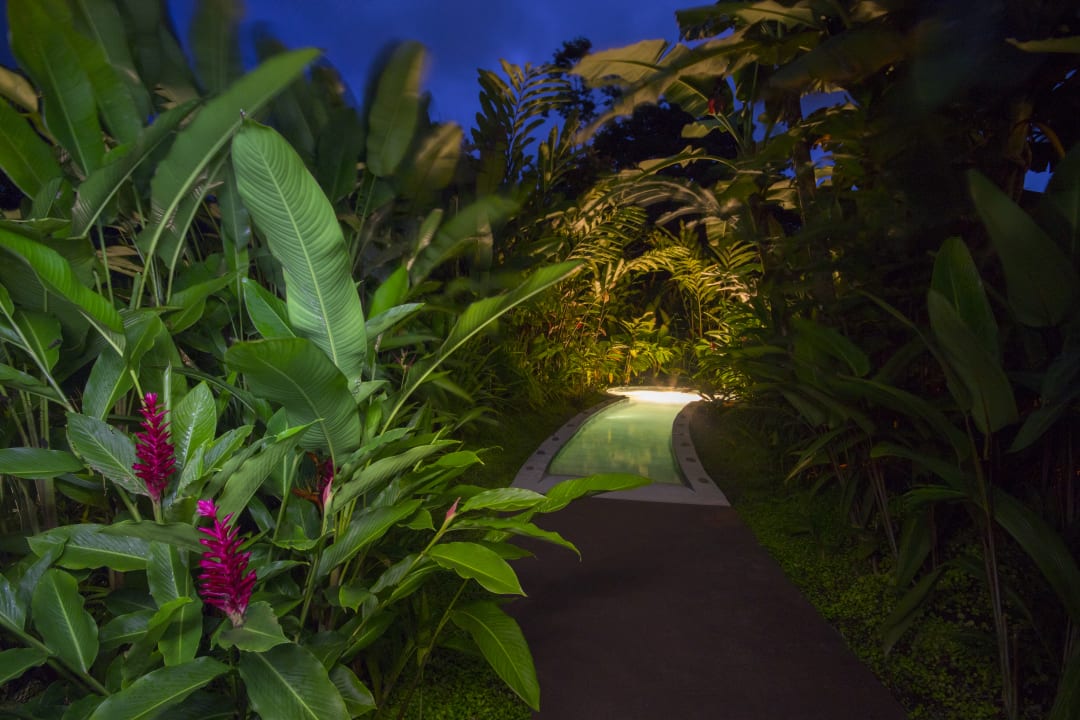 Pool Casa Luna Hotel & Spa