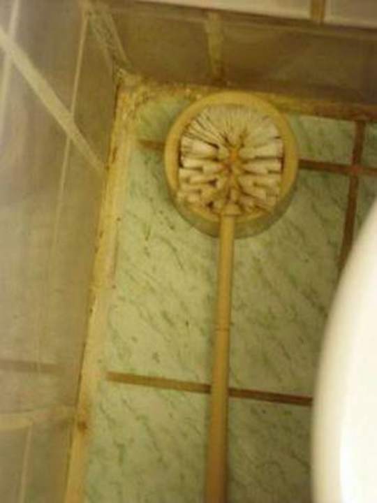 Klobürste - schon Jahre nicht mehr ausgetauscht Hotel Pension Rheingold