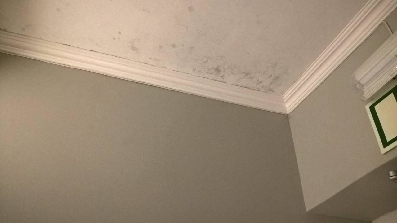 Verschimmelte Decke Quinta de Sao Tadeu by Casa das Campainhas