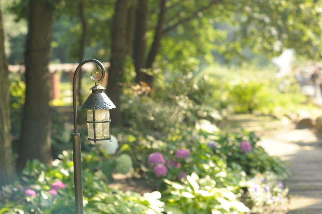 Ogród ForRest Hotel
