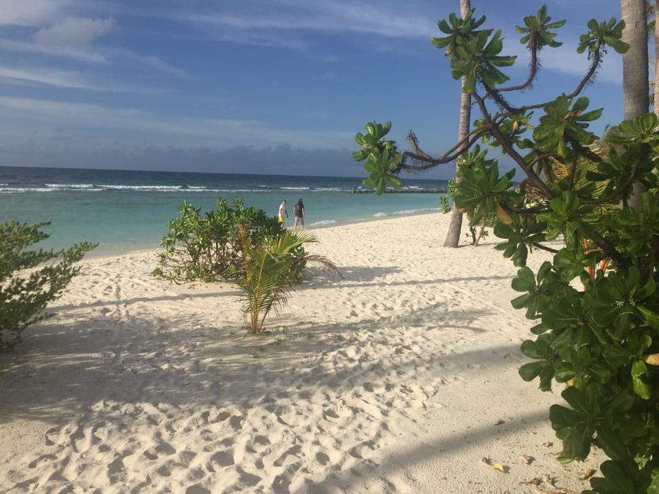 Strand Nordseite Kuredu Island Resort & Spa