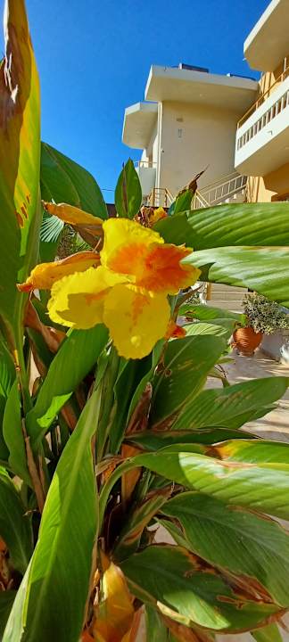 Gartenanlage Esperides Beach Hotel Apartments