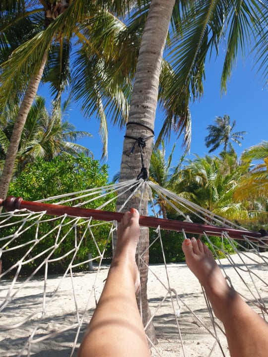 Gartenanlage Meeru Maldives Resort Island