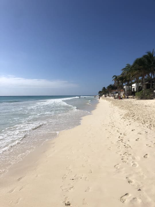 Strand Ikonik The Carmen Hotel - Adults Only