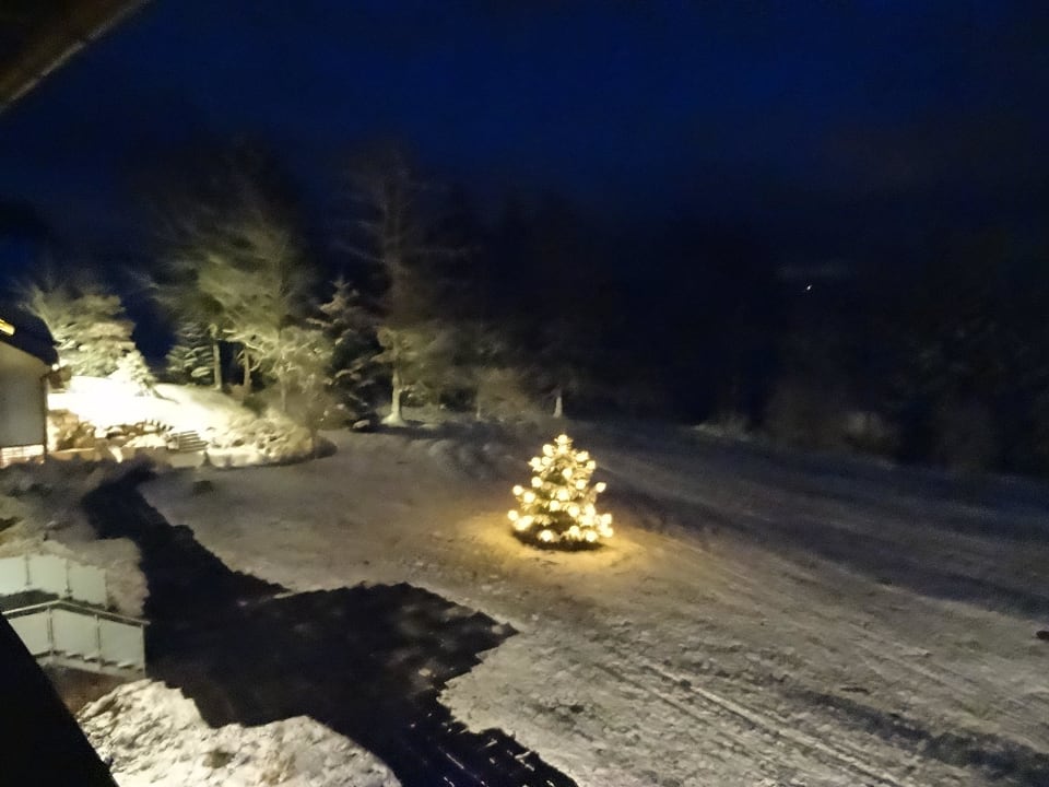 Blick auf die verschneite Außenanlage Hotel Haus Breitnau