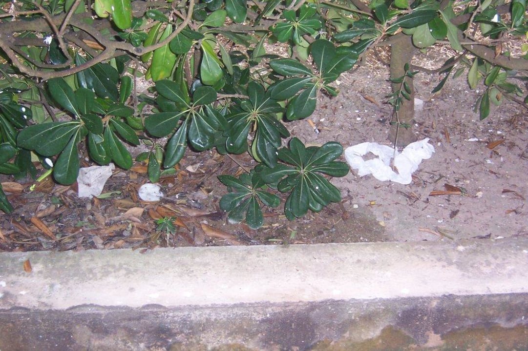 Balkonaussicht Hotel Exagon Park