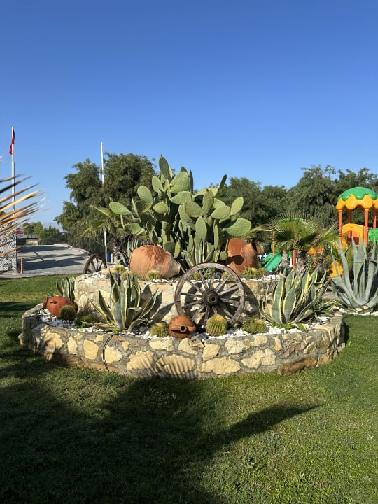 Gartenanlage Dream World Palace Hotel