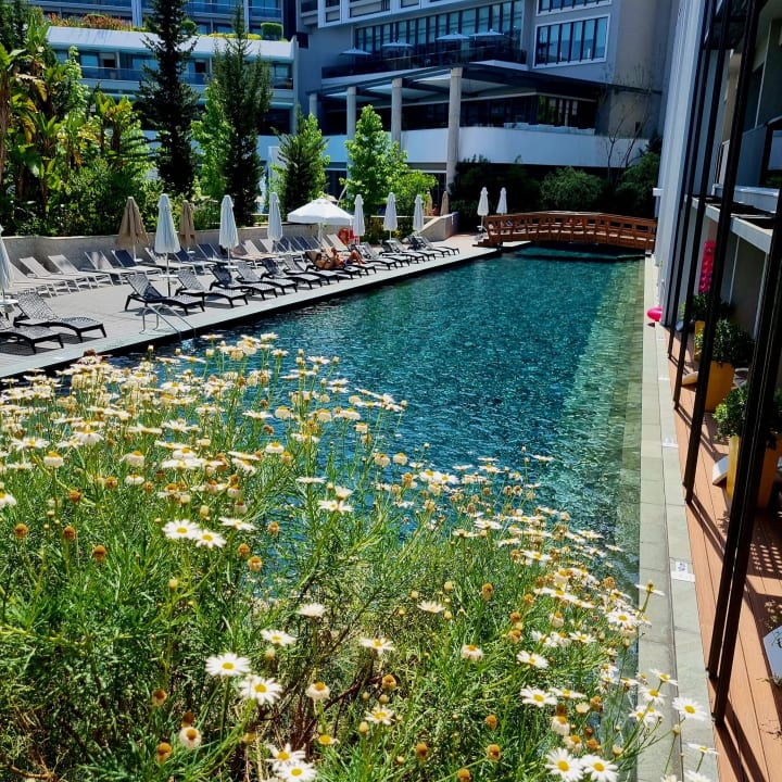 Pool The Sense Deluxe Hotel