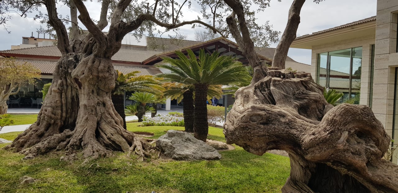 Gartenanlage Playa Garden Selection Hotel & Spa