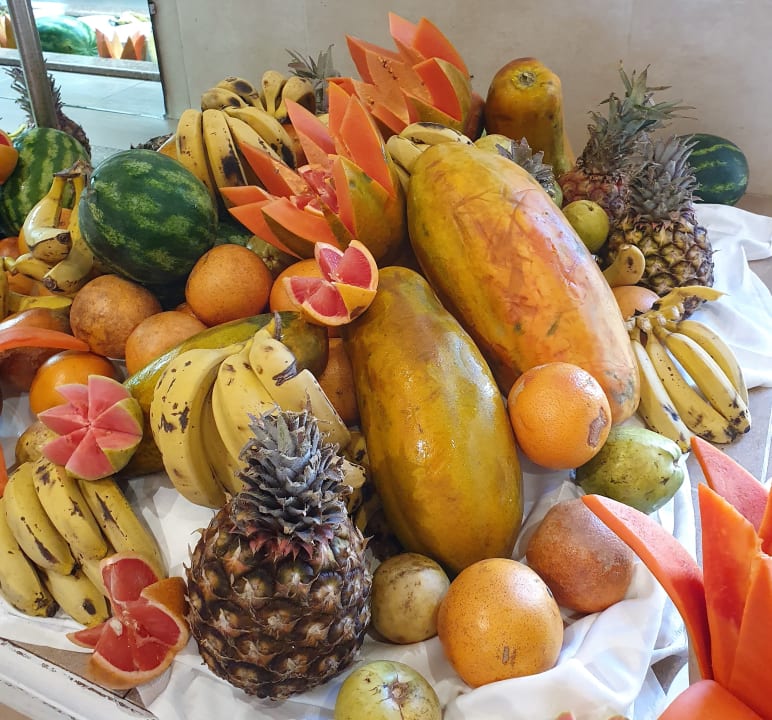 Gastro Hotel Roc Barlovento